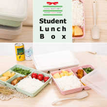 Student Lunch Box